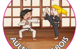 COURS CROISES KARATE